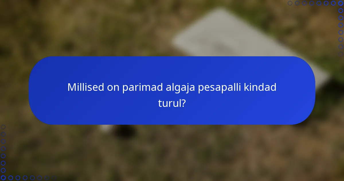 Millised on parimad algaja pesapalli kindad turul?